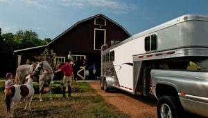 Horse trailer tax