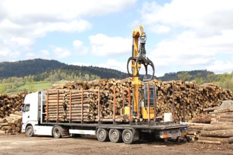 Timber Sale Taxes